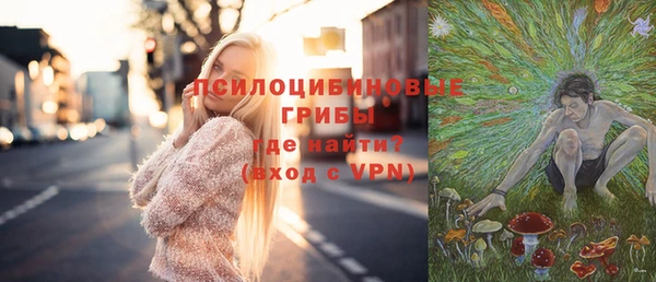 соль ск Алексеевка