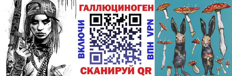 закладка  Зуевка  Псилоцибиновые грибы мицелий 